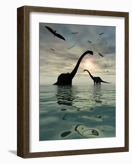 Diplodocus Dinosaurs Bathe in a Large Body of Water-Stocktrek Images-Framed Premium Photographic Print