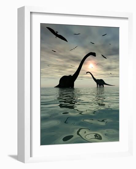 Diplodocus Dinosaurs Bathe in a Large Body of Water-Stocktrek Images-Framed Premium Photographic Print