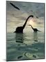 Diplodocus Dinosaurs Bathe in a Large Body of Water-Stocktrek Images-Mounted Premium Photographic Print