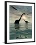 Diplodocus Dinosaurs Bathe in a Large Body of Water-Stocktrek Images-Framed Photographic Print