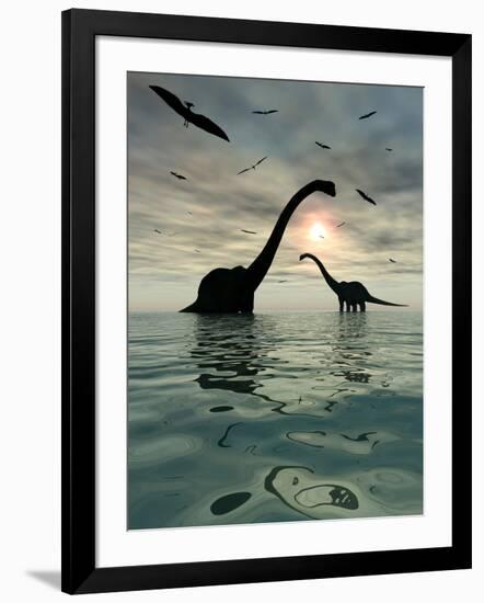 Diplodocus Dinosaurs Bathe in a Large Body of Water-Stocktrek Images-Framed Photographic Print