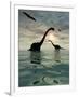 Diplodocus Dinosaurs Bathe in a Large Body of Water-Stocktrek Images-Framed Photographic Print