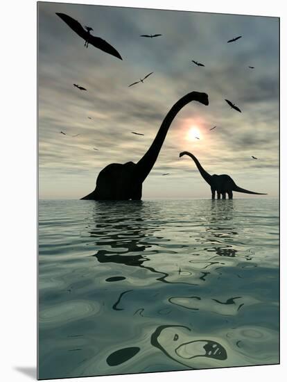 Diplodocus Dinosaurs Bathe in a Large Body of Water-Stocktrek Images-Mounted Photographic Print