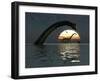 Diplodocus Dinosaurs Bathe in a Large Body of Water-Stocktrek Images-Framed Photographic Print