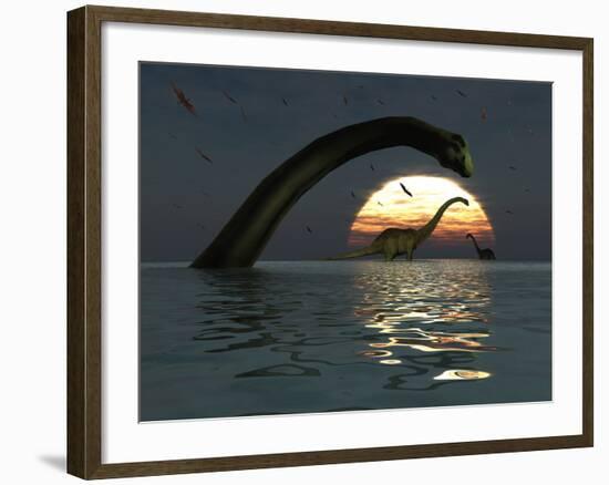 Diplodocus Dinosaurs Bathe in a Large Body of Water-Stocktrek Images-Framed Photographic Print