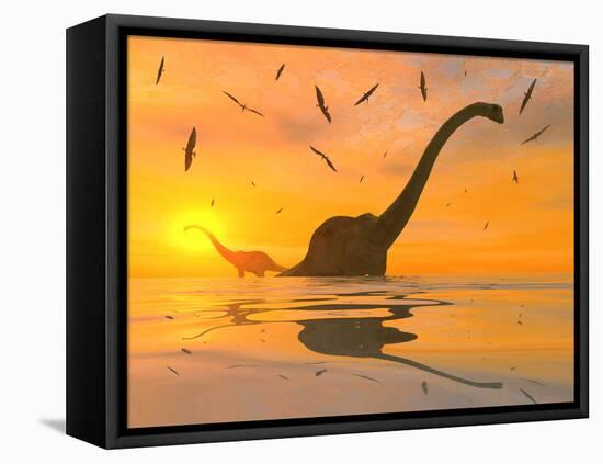 Diplodocus Dinosaurs Bathe in a Large Body of Water-Stocktrek Images-Framed Stretched Canvas