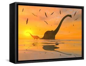 Diplodocus Dinosaurs Bathe in a Large Body of Water-Stocktrek Images-Framed Stretched Canvas