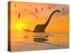 Diplodocus Dinosaurs Bathe in a Large Body of Water-Stocktrek Images-Stretched Canvas