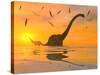 Diplodocus Dinosaurs Bathe in a Large Body of Water-Stocktrek Images-Stretched Canvas