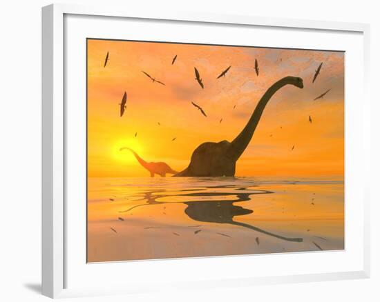 Diplodocus Dinosaurs Bathe in a Large Body of Water-Stocktrek Images-Framed Photographic Print