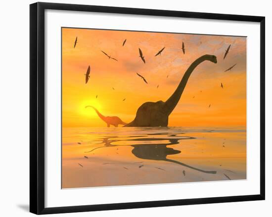 Diplodocus Dinosaurs Bathe in a Large Body of Water-Stocktrek Images-Framed Photographic Print