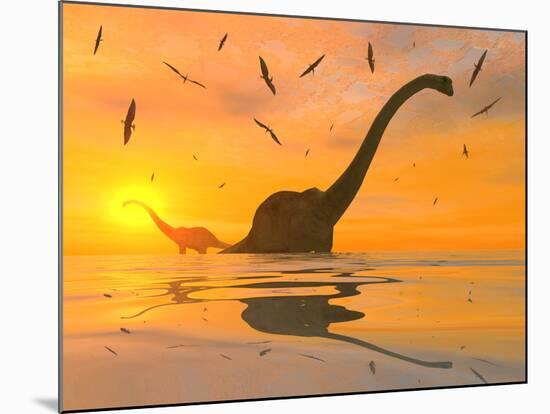 Diplodocus Dinosaurs Bathe in a Large Body of Water-Stocktrek Images-Mounted Photographic Print