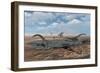 Diplodocus Dinosaurs Caught in a Deadly Mud Pit During a Drought-Stocktrek Images-Framed Art Print