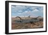 Diplodocus Dinosaurs Caught in a Deadly Mud Pit During a Drought-Stocktrek Images-Framed Art Print