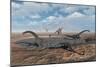 Diplodocus Dinosaurs Caught in a Deadly Mud Pit During a Drought-Stocktrek Images-Mounted Art Print