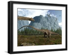 Diplodocus Dinosaurs Graze While Pterodactyls Fly Overhead-Stocktrek Images-Framed Photographic Print