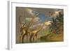 Diplodocus Dinosaurs in a Mating Ritual-null-Framed Art Print