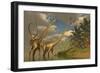 Diplodocus Dinosaurs in a Mating Ritual-null-Framed Premium Giclee Print