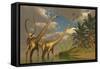 Diplodocus Dinosaurs in a Mating Ritual-null-Framed Stretched Canvas