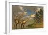 Diplodocus Dinosaurs in a Mating Ritual-null-Framed Art Print