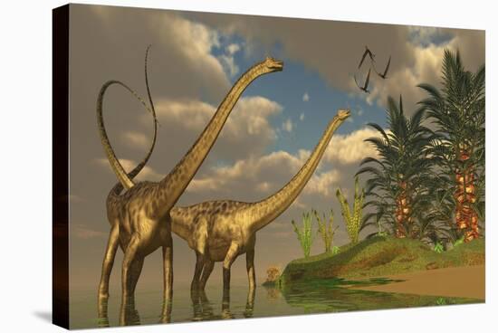 Diplodocus Dinosaurs in a Mating Ritual-null-Stretched Canvas