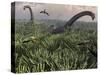 Diplodocus Dinosaurs of the Sauropod Family-Stocktrek Images-Stretched Canvas