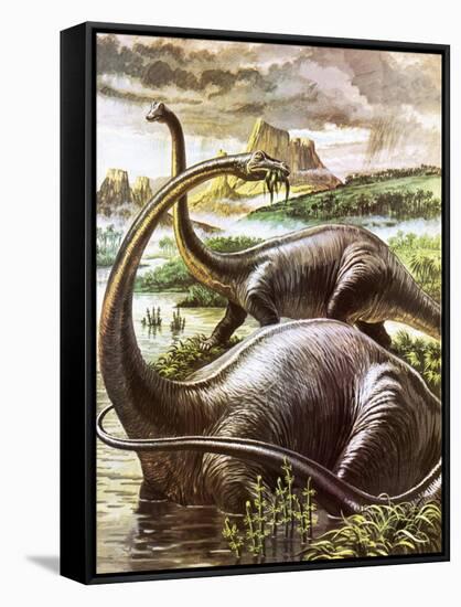 Diplodocus-Payne-Framed Stretched Canvas