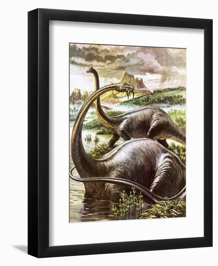 Diplodocus-Payne-Framed Giclee Print