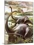 Diplodocus-Payne-Mounted Giclee Print