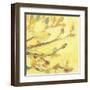 Dipped in Honey-Jennifer Lommers-Framed Art Print