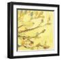 Dipped in Honey-Jennifer Lommers-Framed Art Print