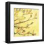 Dipped in Honey-Jennifer Lommers-Framed Art Print