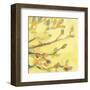 Dipped in Honey-Jennifer Lommers-Framed Art Print