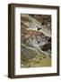 Dipper (Cinclus Cinclus) on Rock in Stream. Perthshire, Scotland, May-Fergus Gill-Framed Photographic Print