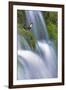 Dipper (Cinclus Cinclus) Perched on Moss-Covered Waterfall, Peak District Np, Derbyshire, UK-Ben Hall-Framed Photographic Print