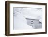 Dipper in stream surrounded by snow, Inai Kiilopaa, Finland-Markus Varesvuo-Framed Photographic Print