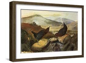 Dippers-John James Audubon-Framed Giclee Print