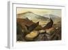 Dippers-John James Audubon-Framed Giclee Print