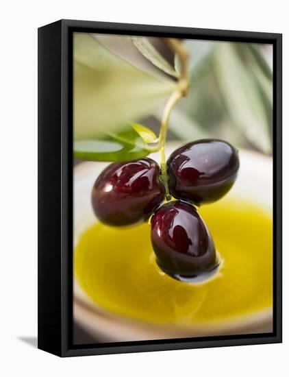 Dipping Olive Sprig with Black Olives in Olive Oil-null-Framed Stretched Canvas