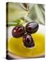 Dipping Olive Sprig with Black Olives in Olive Oil-null-Stretched Canvas