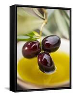 Dipping Olive Sprig with Black Olives in Olive Oil-null-Framed Stretched Canvas