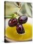 Dipping Olive Sprig with Black Olives in Olive Oil-null-Stretched Canvas