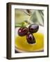 Dipping Olive Sprig with Black Olives in Olive Oil-null-Framed Premium Photographic Print