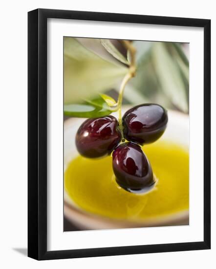 Dipping Olive Sprig with Black Olives in Olive Oil-null-Framed Premium Photographic Print