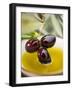 Dipping Olive Sprig with Black Olives in Olive Oil-null-Framed Premium Photographic Print