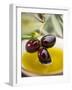 Dipping Olive Sprig with Black Olives in Olive Oil-null-Framed Premium Photographic Print