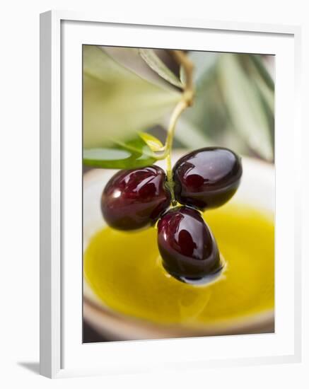 Dipping Olive Sprig with Black Olives in Olive Oil-null-Framed Photographic Print