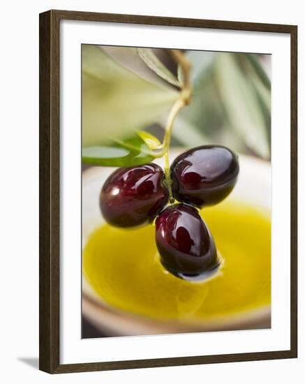 Dipping Olive Sprig with Black Olives in Olive Oil-null-Framed Photographic Print