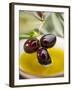 Dipping Olive Sprig with Black Olives in Olive Oil-null-Framed Photographic Print