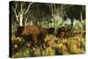 Diprotodon on the Edge of a Eucalyptus Forest with Some Early Kangaroos-null-Stretched Canvas